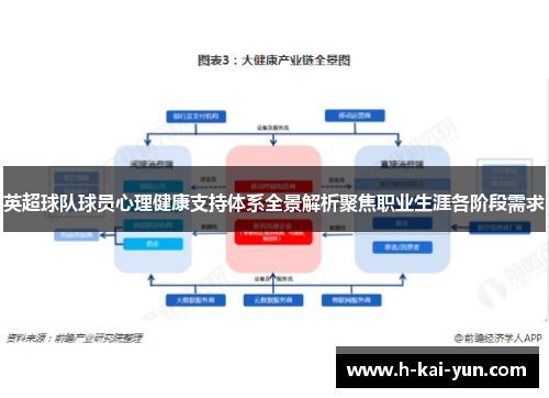 英超球队球员心理健康支持体系全景解析聚焦职业生涯各阶段需求 英超球队球员心理健康支持体系全景解析聚焦职业生涯各阶段需求