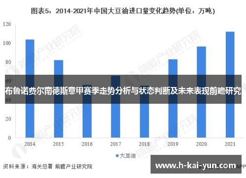 布鲁诺费尔南德斯意甲赛季走势分析与状态判断及未来表现前瞻研究